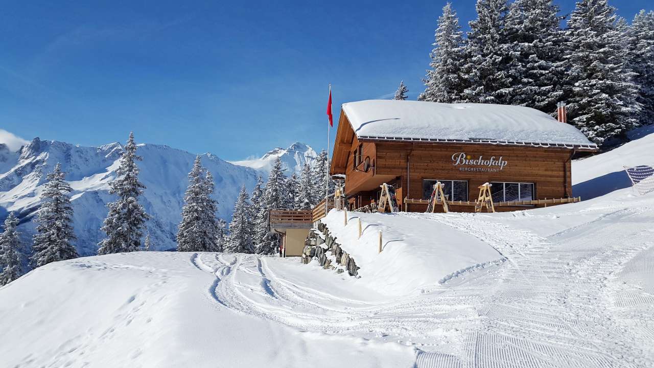 Winter-Wanderweg: zweiter Anlauf