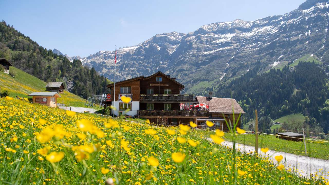 Berggasthaus Edelwyss
