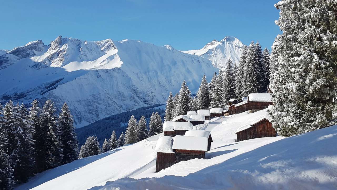 Der Winterwanderweg in den "Glarner Nachrichten"