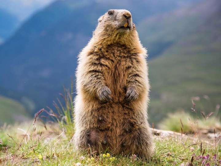 Glücksgefühle am Morgen