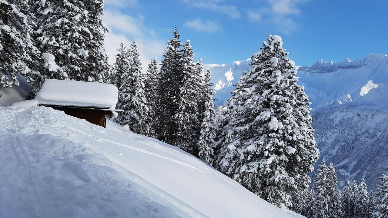 Schneeschuhtour Bischofalp