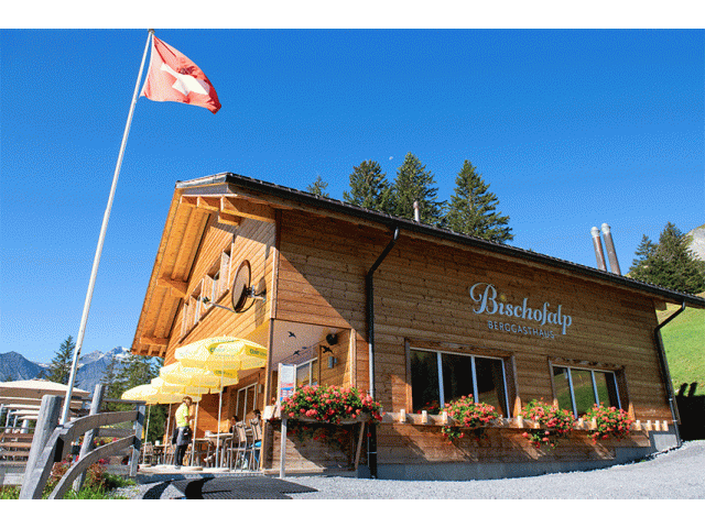 In eigener Sache:  Auf der Homepage projekt.bischofalp.ch finden Sie Informationen ganzen Projekt sowie zahlreiche Fotos vom Bau des Restaurants.  Weiter besteht die Möglichkeit, Aktien zu zeichnen und Teil unseres Projektes zu werden. Melden Sie sich bei uns. In eigener Sache:  Auf der Homepage projekt.bischofalp.ch finden Sie Informationen ganzen Projekt sowie zahlreiche Fotos vom Bau des Restaurants.  Weiter besteht die Möglichkeit, Aktien zu zeichnen und Teil unseres Projektes zu werden. Melden Sie sich bei uns.